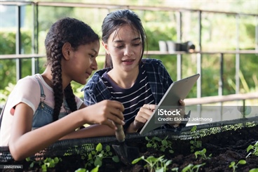 Lorem Ipsum Article Header