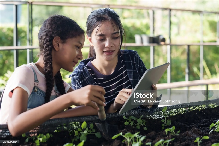 Lorem Ipsum Article Header