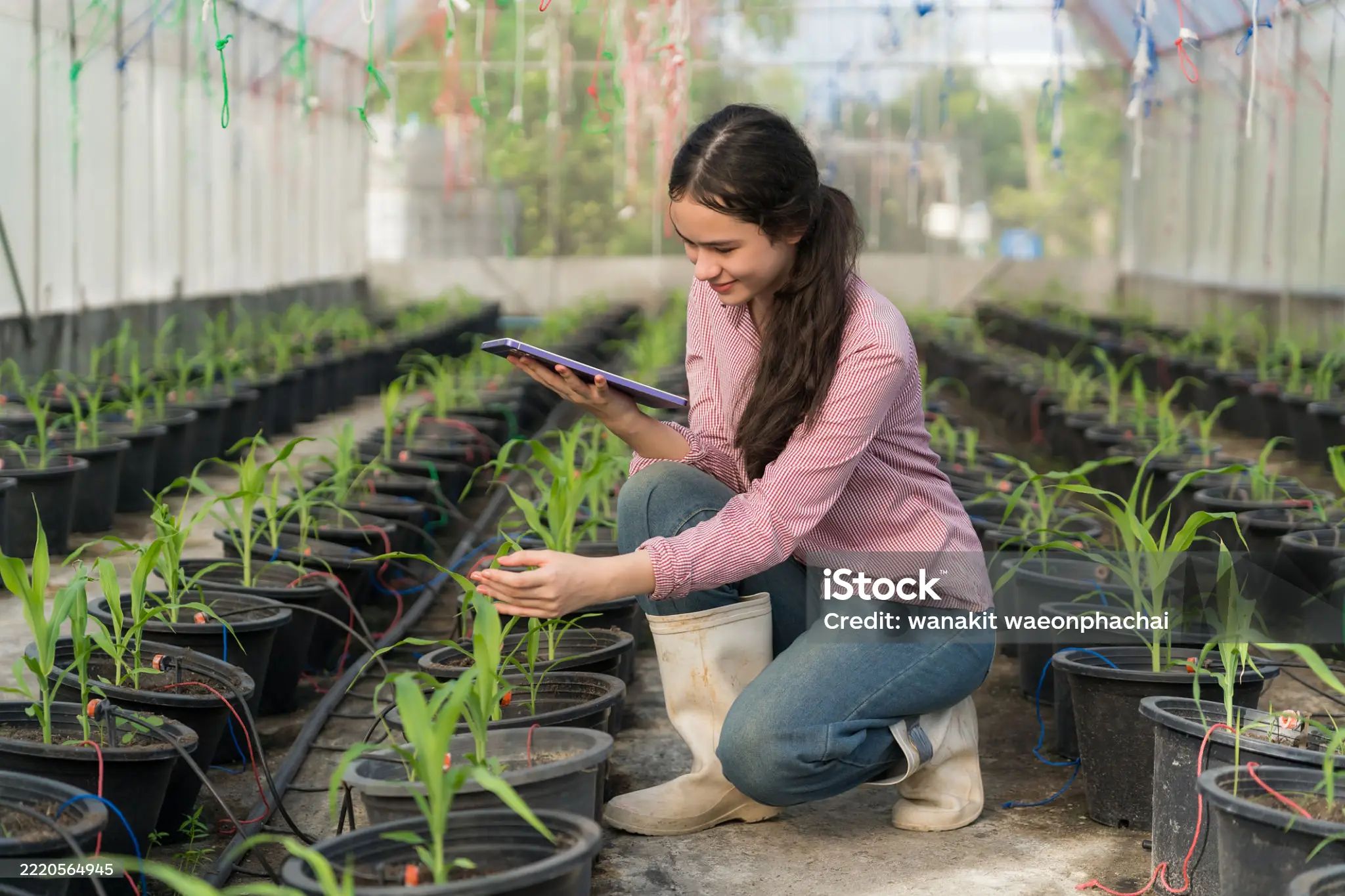 Hundreds of Scholarships in Agriculture