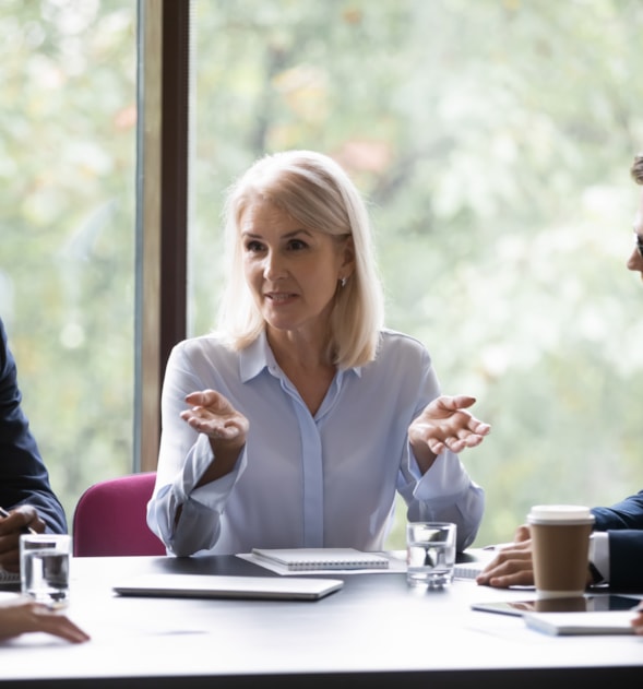 Chief Executive Officer (CEO)