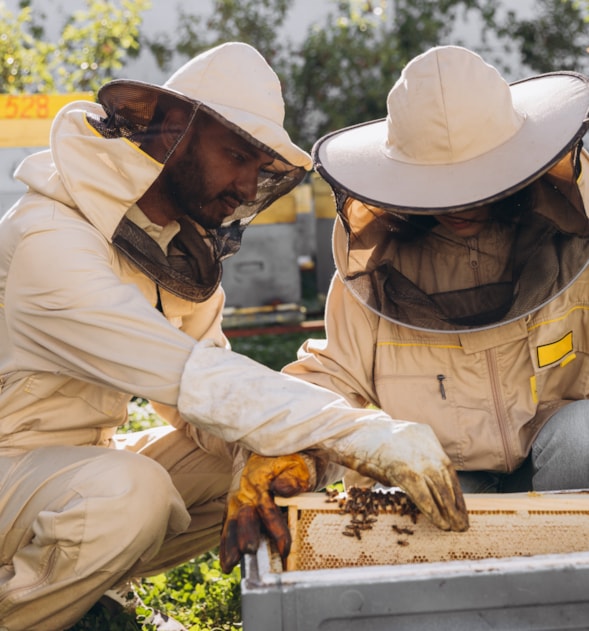 Apiculture Specialist