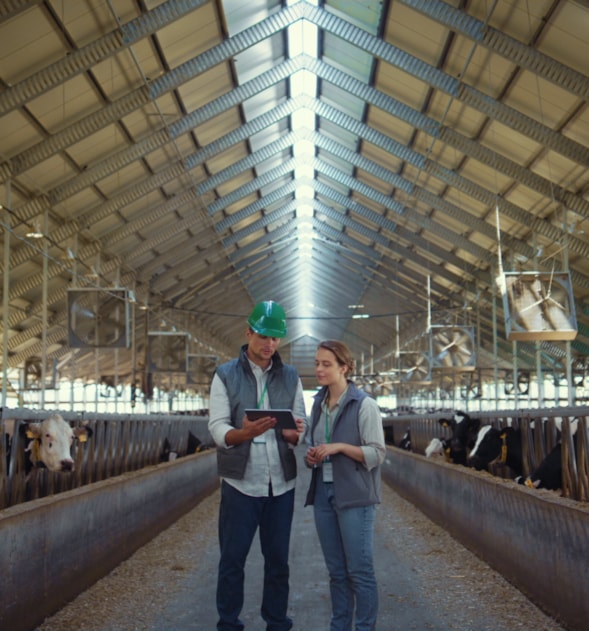 Feedlot Manager