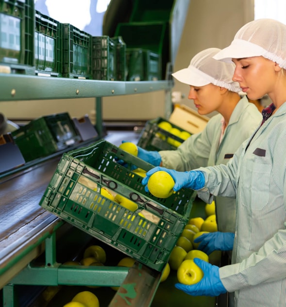 Food Processing Worker
